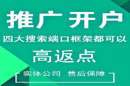 案例解读：SEM托管服务助力企业快速崛起